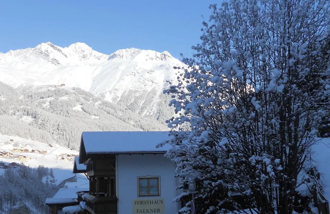 Forsthaus Falkner-1